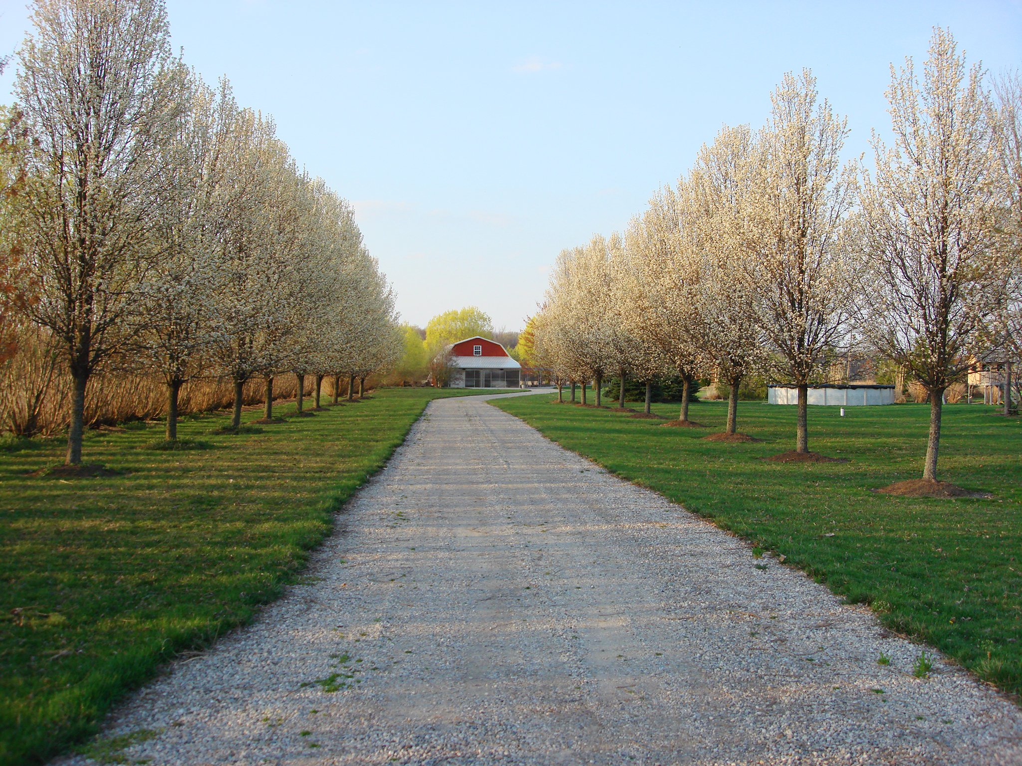 Property photo 41 - REAL ESTATE AUCTION! Grand Historic All Brick Home on 2.45 Acres!